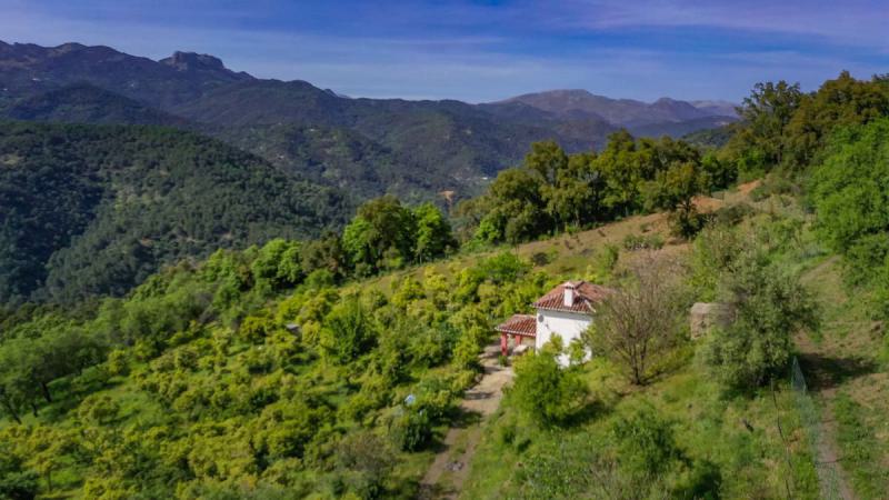 Zrzut-ekranu-2021-04-15-o-12.47.12 (1)